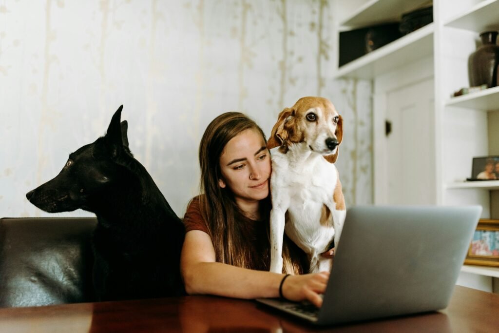 Freelancer reviewing a pro forma invoice on a laptop at home